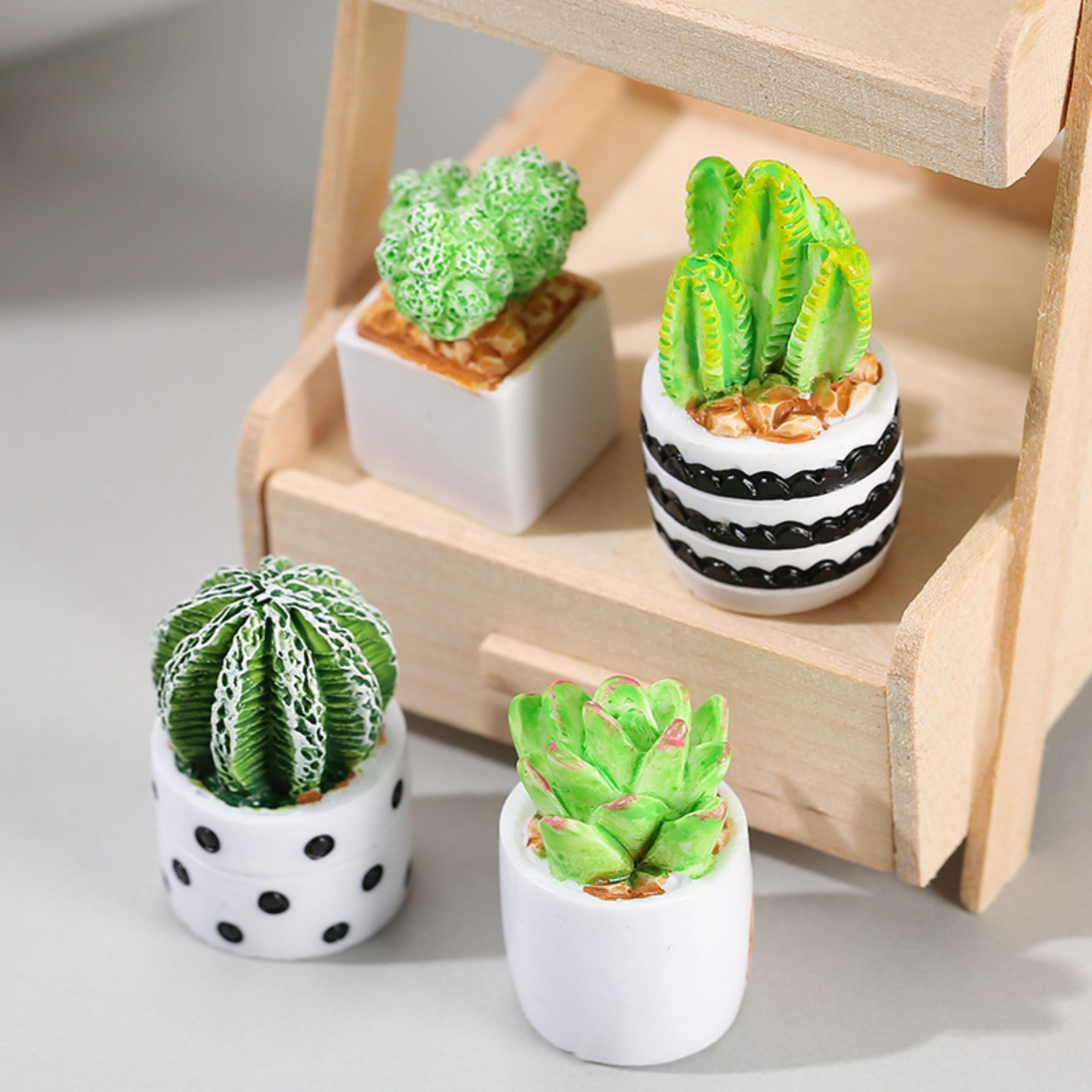 Set 4-Potong Tanaman Sukulen K - Echeveria Succulent ulasan dan harga